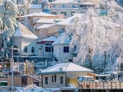 -梧桐山风景名胜区