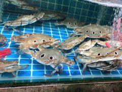 -锐记美食店·现捞海鲜(闸坡店)