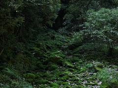 -武隆天坑寨子景区