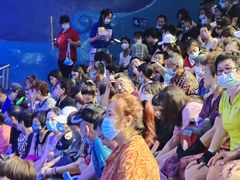 -烟台海昌鲸鲨海洋公园