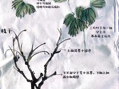 -秦汉胡同古筝围棋国学书院(罗湖分馆)