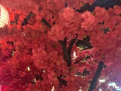 -探花·意境江南菜·唐伯虎文化体验店·松鼠桂鱼(观前店)