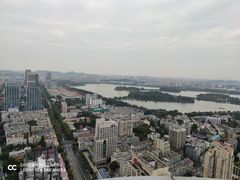 -紫峰大厦