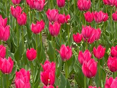 -长春公园(普阳街道)