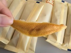 -威远炮台
