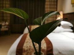 -斯瑞特国际酒店