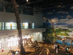 -自贡恐龙博物馆