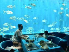 -瑞德姆美人鱼海底演艺主题餐厅(亚龙湾店)
