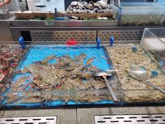 -半岛听涛蒸汽海鲜自助(K11店)