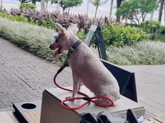 -星巴克(珠海仁恒滨海中心店)