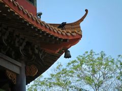 -红花山公园