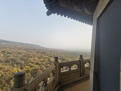 -灵谷景区