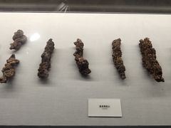 -湖南省地质博物馆