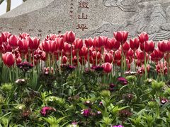 -铁山坪森林公园