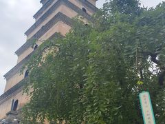 -大慈恩寺(大雁塔)