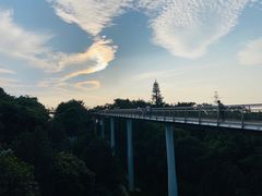 -仙岳公园