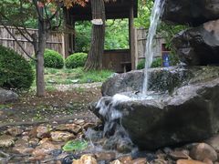 -大连植物园