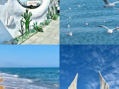 -日照灯塔风景区