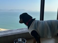 -碧桂园十里银滩