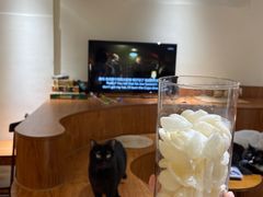 -有猫主题·治愈系猫咖(曾厝垵店)