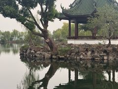 -无锡蠡湖国家湿地公园-蠡园