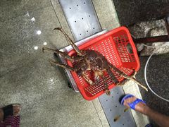 -蚝专家(北滘店)