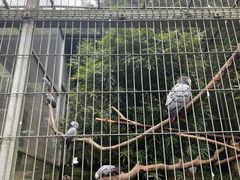 -宁波野生动物园