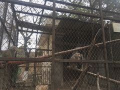 -昆明动物园
