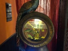 -孔雀裡融合餐厅