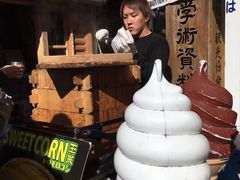 -富士山吉田線五合目