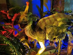 -恐龙探索乐园(磁器口店)