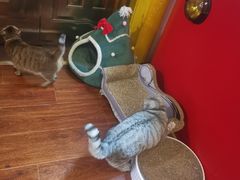 -H立方实景剧情密室(天河旗舰店)