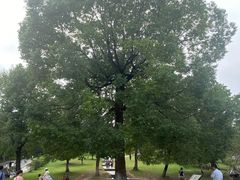 -方山风景区定林寺