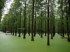 -渌洋湖湿地公园
