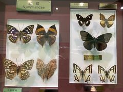 -上海昆虫博物馆