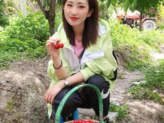 -萝卜寨羌文化生态旅游区