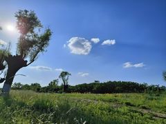 -汉长安城未央宫国家考古遗址公园