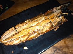 -土蚝·高压锅生蚝(百姓美食街店)