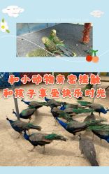 点击看大图 -萌宠亲子动物乐园(槐房万达店)