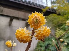 -上海方塔园