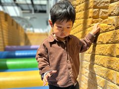 -中国宋庆龄青少年科技文化交流中心