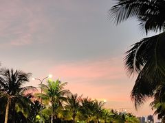 -牛排王糟粕醋火锅(海甸分店)