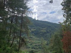 -杨家堂村