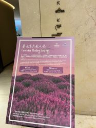 -希尔顿酒店·eforea spa水疗中心