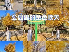 -长白岛森林公园