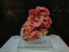 -湖南省地质博物馆