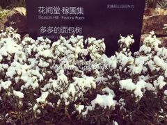 -田园东方蜜桃村的田野营地