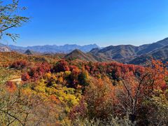 -百里山水画廊