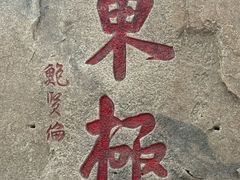 -东极岛景区