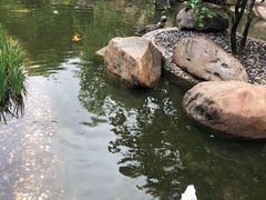 -西双版纳洲际度假酒店-海鲜傣味烧烤·侬香全日制餐厅